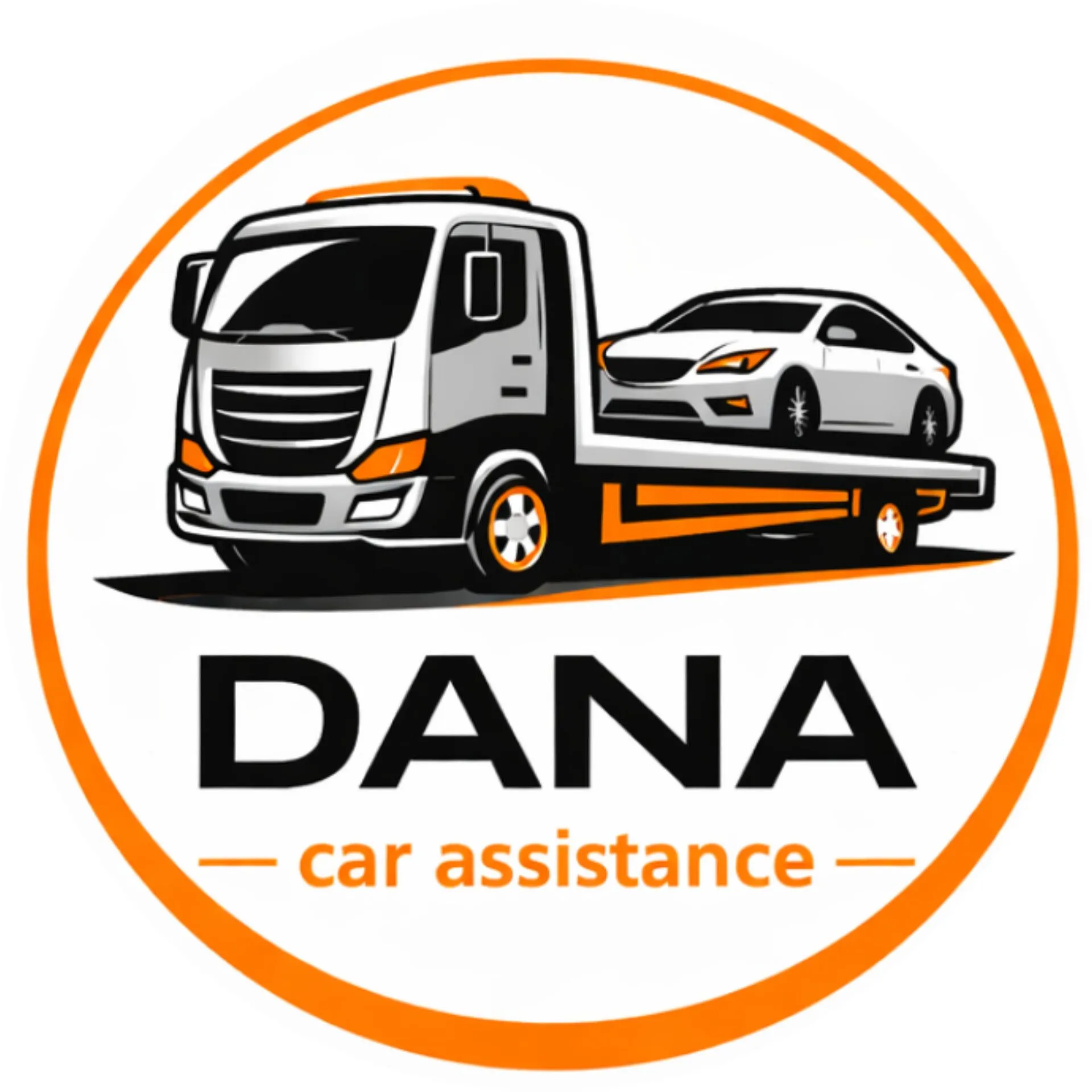 لوگو امداد خودرو دانا